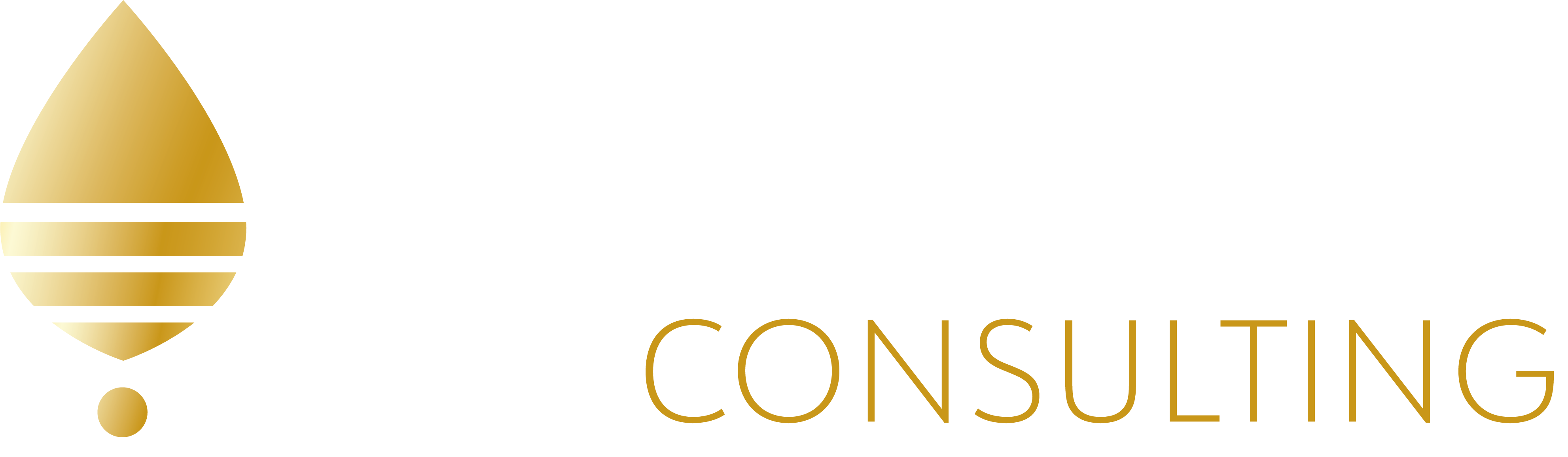 VMR Consulting